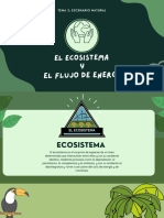 Ecosistema - Flujo de Energía