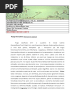 4 - Relatório Do Microcultivo de Fungos Filamentosos