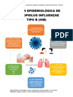 Cadena Epidemiológica de Haemophilus Influenzae Tipo B