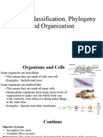 Animal Classification, Phylogeny and Organization