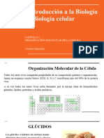 Organización Molecular de La Celula