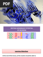 Resting Membrane Potential