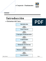 Manual Fundamentos rv1