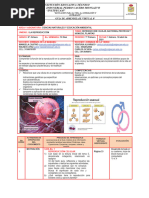 01 Guia Ciencias Naturales 8°