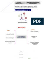 Clase 7. Metabolismo de Aminoácidos