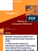 Theory of Consumer Behavior: Eighth Edition