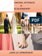 Libro - Matrimonio, Divorcio y Recasamiento