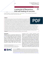 A Review On The Potential of Filamentous Fungi For Microbial Self-Healing of Concrete