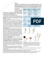 Mycology1 Lec 8