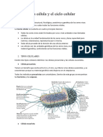 Apuntes Tema 1 Biología 4ºESO