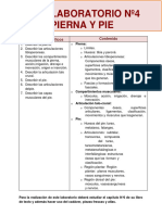 Laboratorio 4 Pierna y Pie 2024
