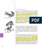 Subrayado de Ideas para Responder Las Preguntas