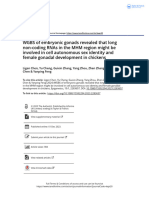 WGBS of Embryonic Gonads Revealed That Long Non-Coding RNAs in The MHM Region Might Be Involved in Cell Autonomous Sex Identity and Female Gonadal Dev