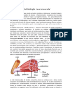 Histofisiologia Neuromuscular