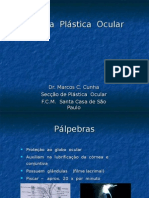 Aula 03 - Plastica Ocular 2