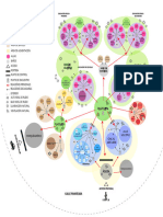 DIAGRAMAMesa de Trabajo 1