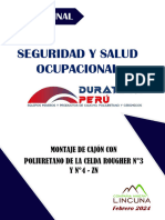 Informe Final de Sso - Duratech