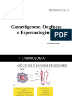 Gametogenese 2