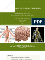 Anatomia y Fisiologia