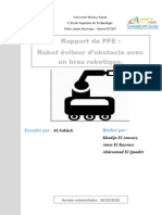 Rapport Pfe Version Final