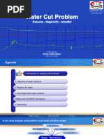 Water Cut Problem - Abbas - 28!2!2024