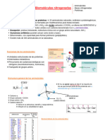 Tema 5 - Biomoléculas Nitrogenadas - 2023 - 2024