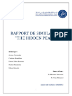 Rapport Simulation