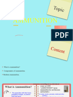 Ammunition PPT 100