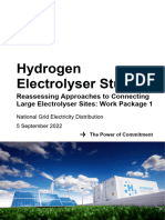 Hydrogen Electrolyser Study WP1 Report Final