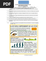 IFDP - Examen de Cast - Estrat de Lectura