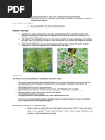 Visual Aide (Downy Mildew)