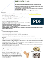 Esqueleto Axial - Anatomia 1 of