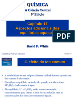 Capítulo 17 - Aspectos Adicionais