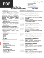 CV Darwin Echevarria Lucano