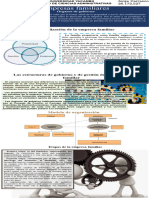 Infografia Organizacion en Las Empresas Familiares