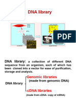 DNA Library