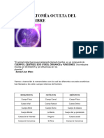 ANATOMIA-OCULTA-DEL-HOMBRE