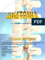 Anatomia Huesos Columna