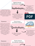 Segunda Semana de Desenvolvimento de Embrionário: O Processo