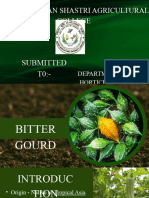 Bitter Gourd