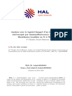 Analyse Avec Le Logiciel ImageJ D'un Lot D'images en Microscopie Par Immunofluorecence de Cellules de Fibroblastes Irradiées en X À l'E.S.R.F