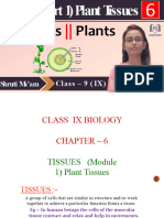 Ix Biology 6 1, PPT