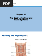 Chapter16 GI & Renal System