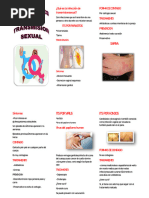 La Infección de Transmision Sexual