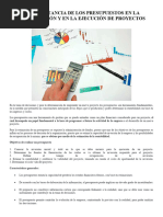 La Importancia de Los Presupuestos en La Organización y en La Ejecución de Proyectos