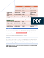 Cuadros Vias de Conducción Descendentes