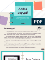 Aedes Aegypti