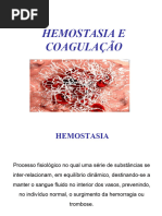 Hemostasiaecoagulao 20220930085950