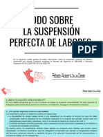 Todo Sobre La Suspensión Perfecta de Labores 1