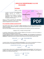 L Utilisation de L Atp Par La Fibre Musculaire Cours 1